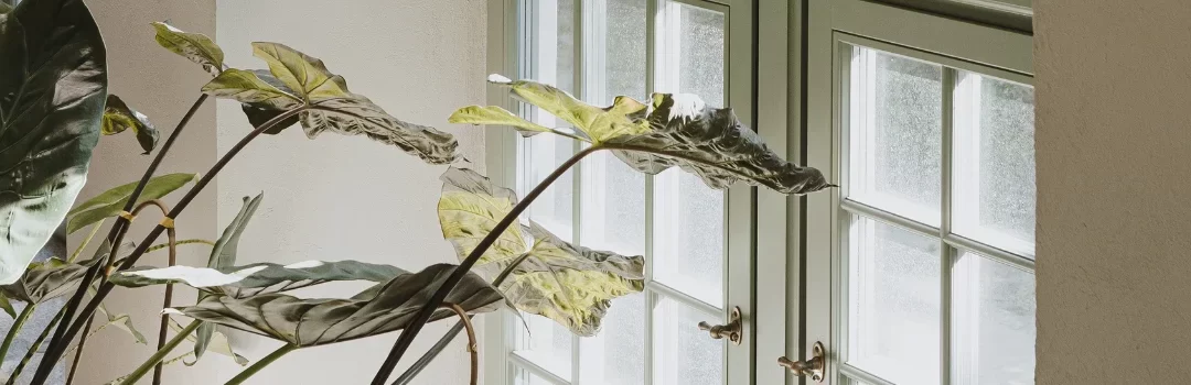 Elementy brandingu – co wpływa na kształt marki?