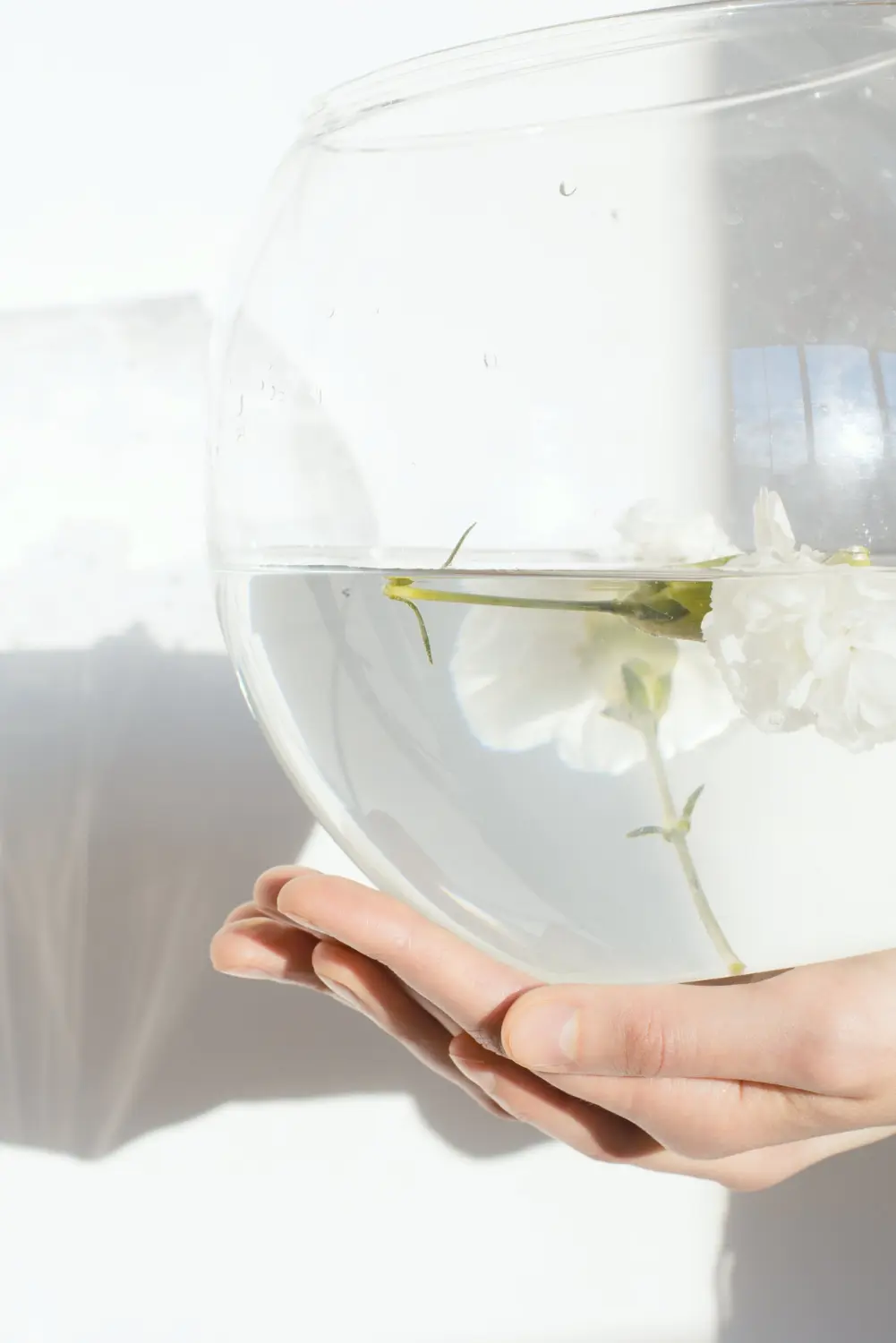 CSR a&nbsp;wizerunek firmy